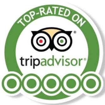 tripadvisor top-rated