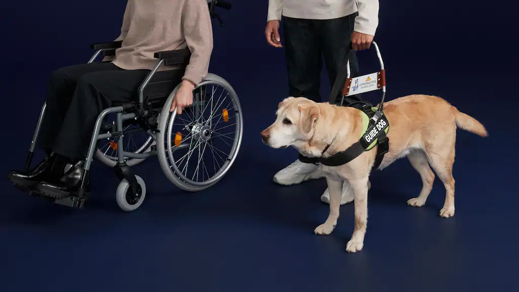 Mobility service